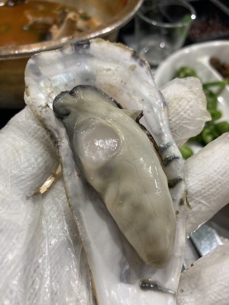오케이해물포차 이미지