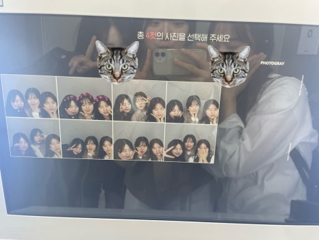 젤뚜 이미지
