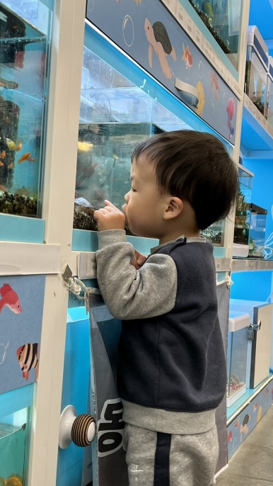 도화우리마트 이미지