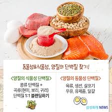 디오엠피트니스 이미지