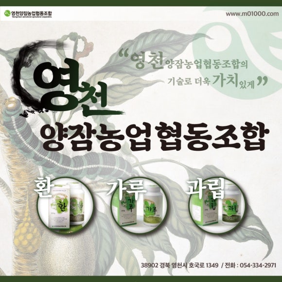 영천양잠협동조합 이미지