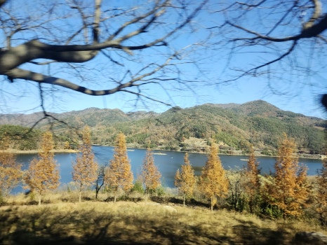 청학동별빛캠핑장 이미지