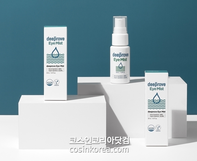 대한진흥원 이미지