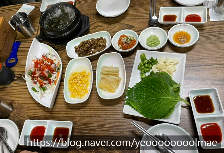 다마시떼 이미지