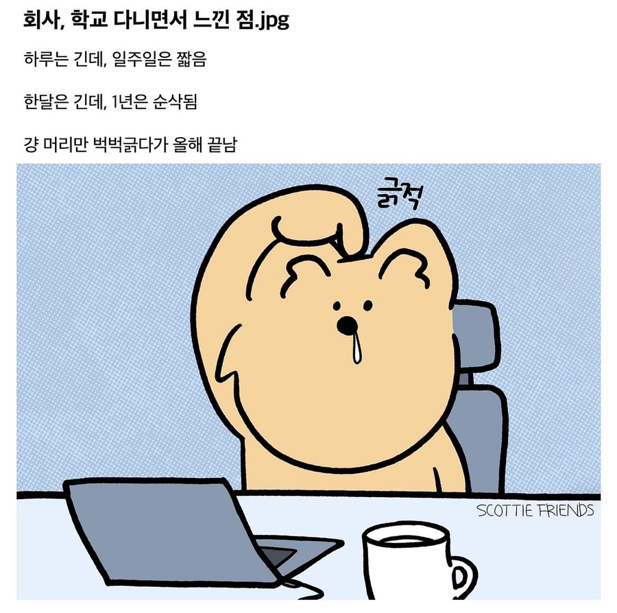 기가찬참숯민물장어성정점 이미지