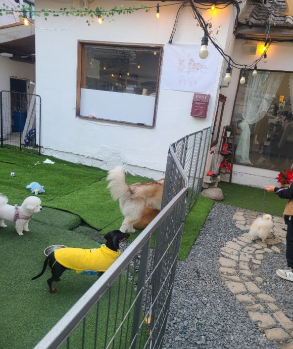 올랑올랑대전 이미지