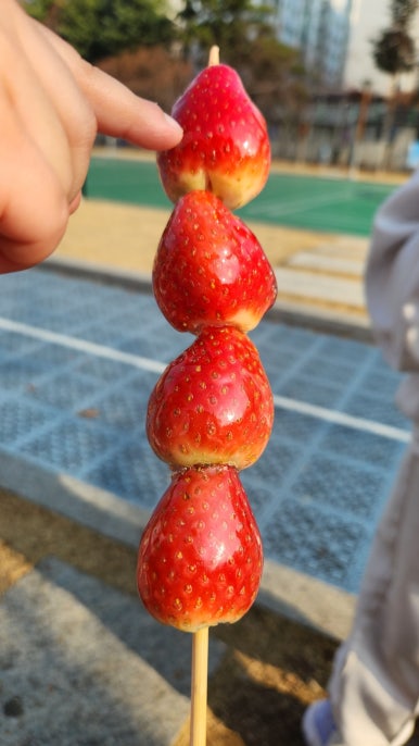 하이루탕후루 이미지
