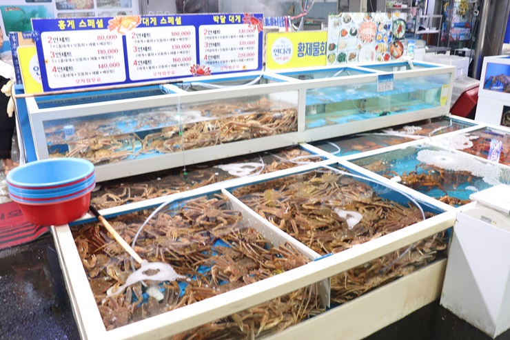 연달아식당 이미지
