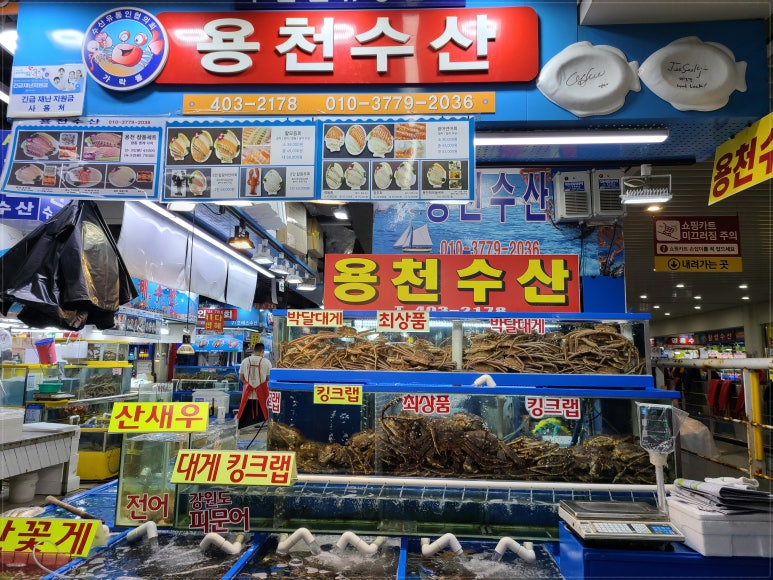 가락활어회센터 이미지