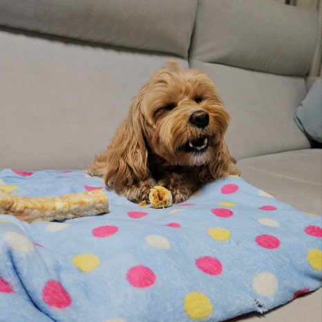단이마켓 이미지