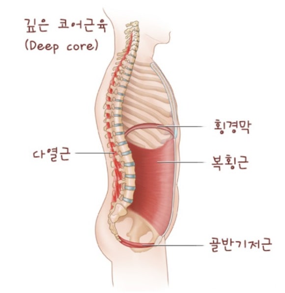 피플코어 이미지