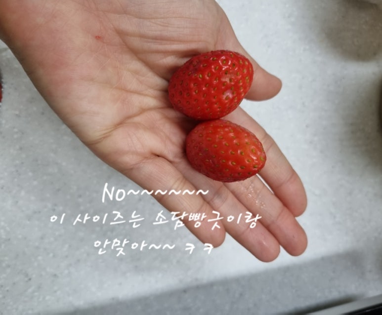소담빵 이미지