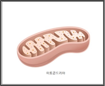 (주)피코엔텍 이미지