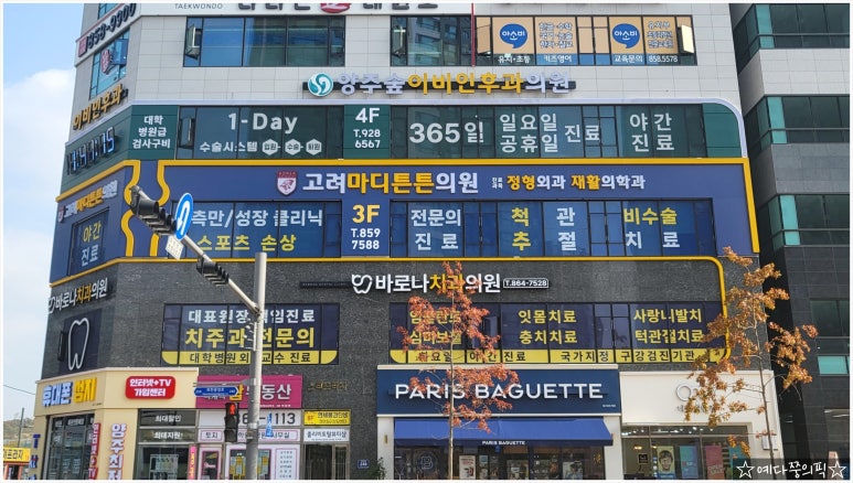 마디튼튼의원 이미지