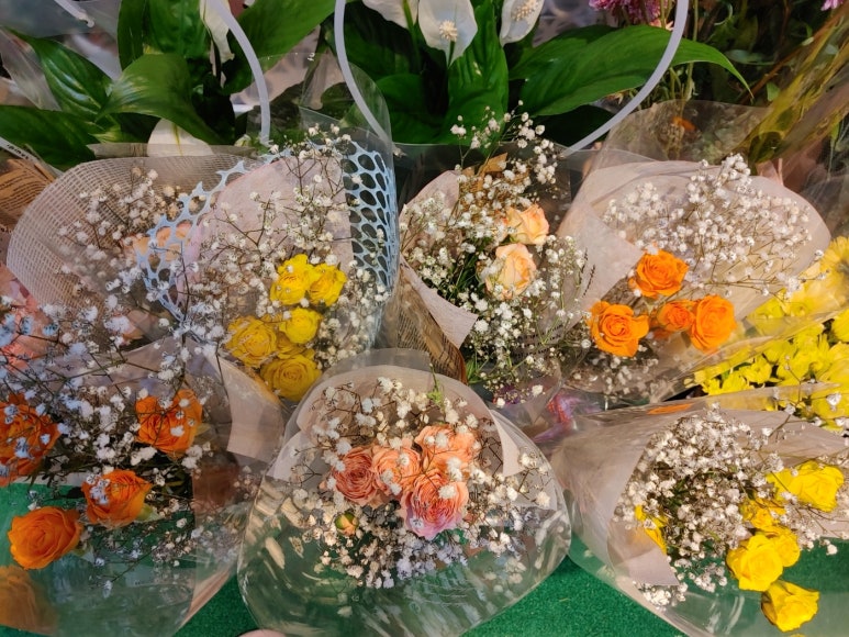 민주수경재배꽃집 이미지