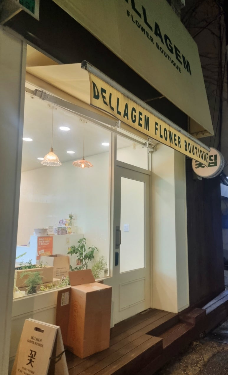 델라젬 이미지