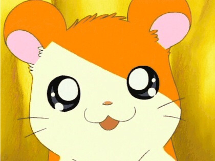 환승바디 이미지