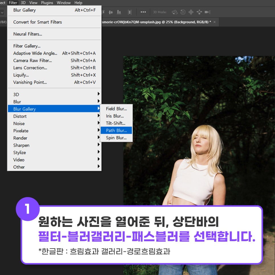 디자인패스주 이미지