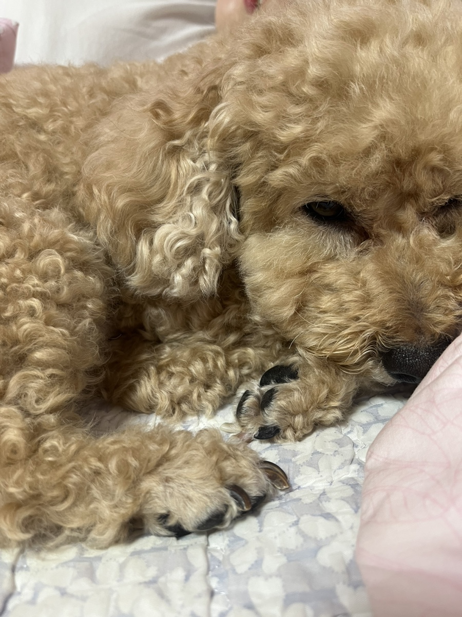 까치세탁소 이미지