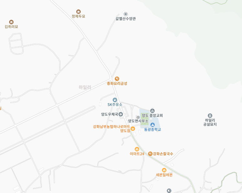 금성손짜장 이미지