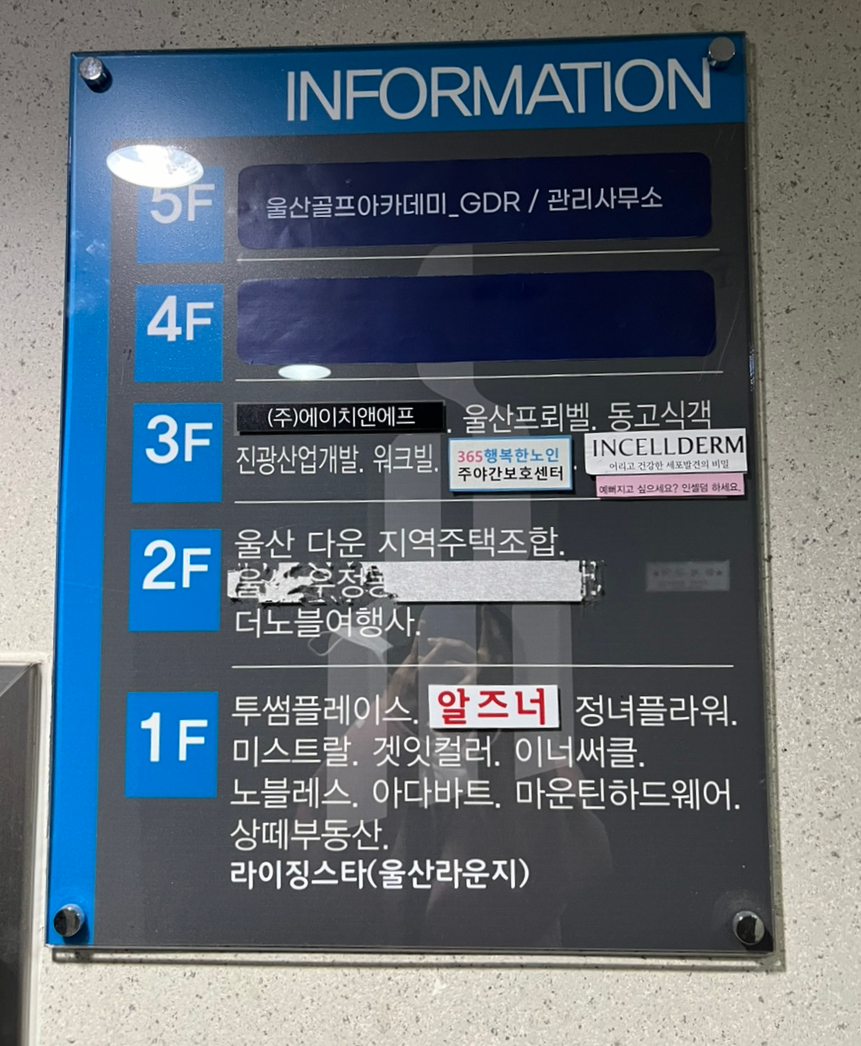 드림인셀덤 이미지