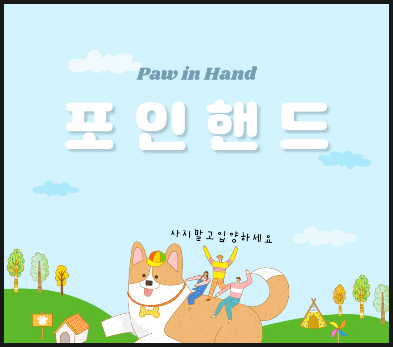 포인사이트 이미지