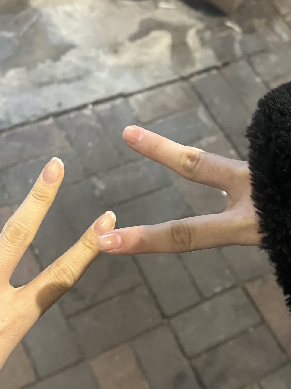 해연포차 이미지