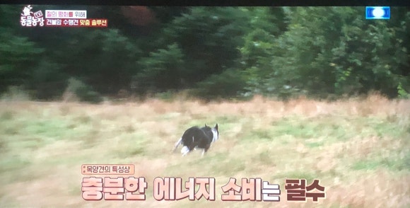 도선농장 이미지