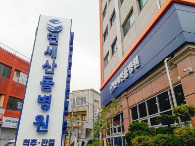 연세산돌병원 이미지