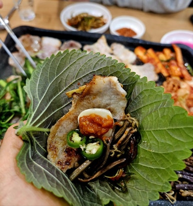유영채 명품 생고기 이미지