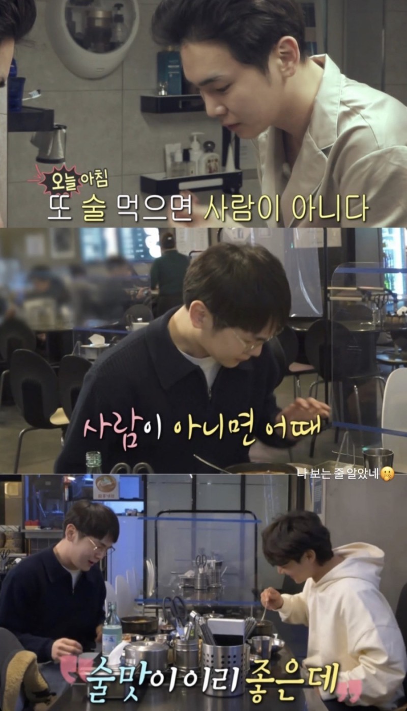 돈돼지 이미지