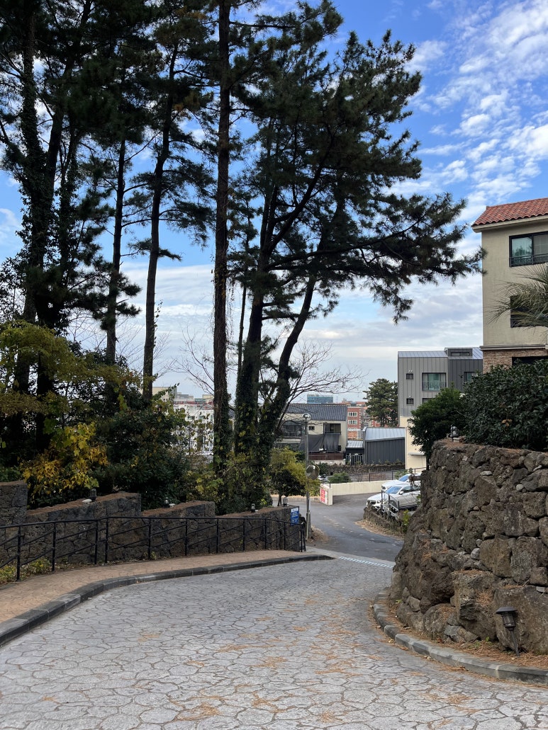 콜로세움제주 이미지