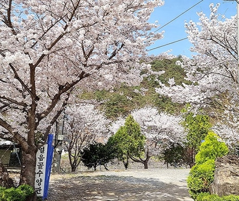 송백마트 이미지