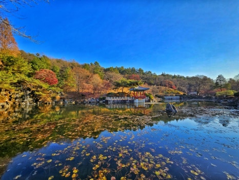 보훈매점 이미지