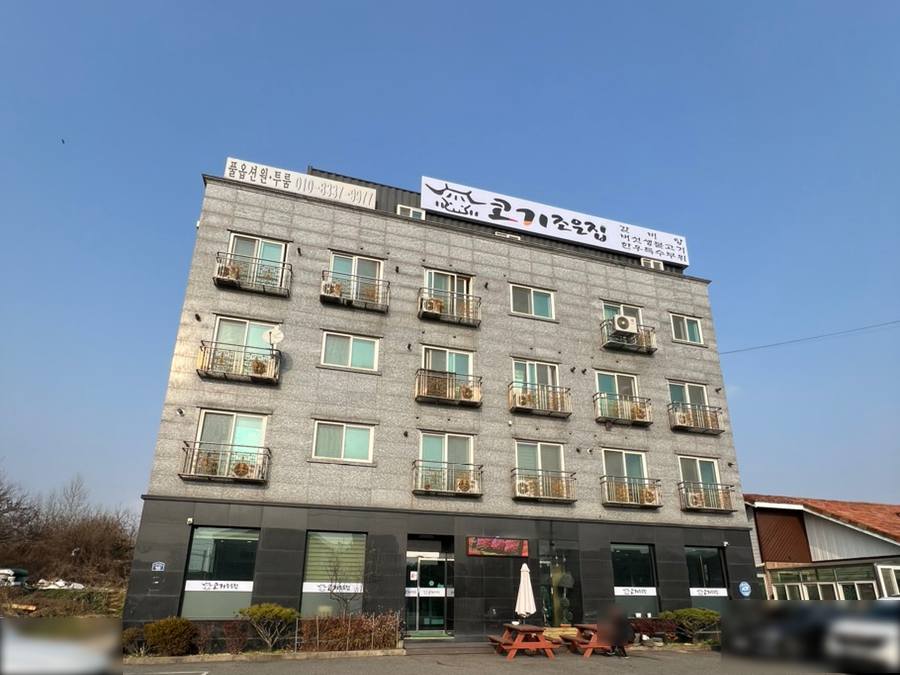 코기조은집 이미지