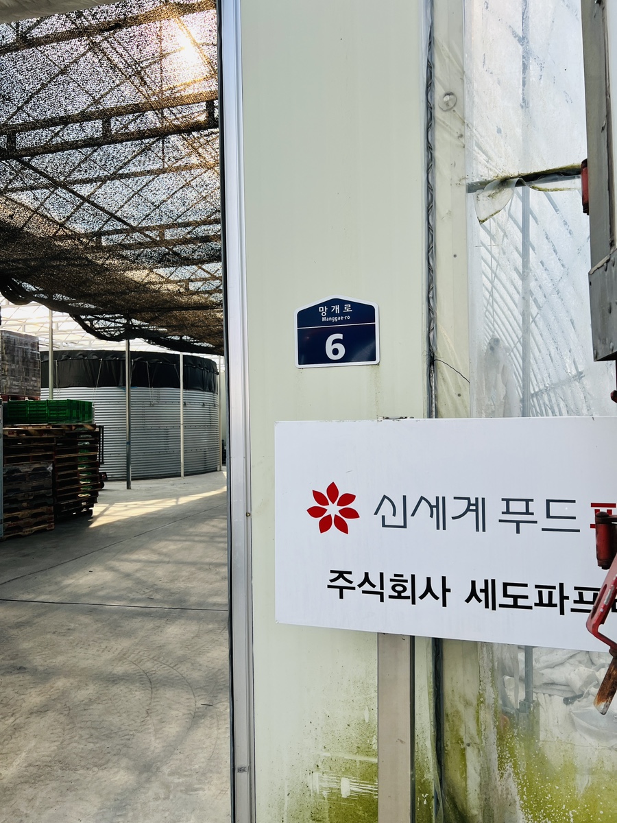 영웅이네 딸기농장 이미지