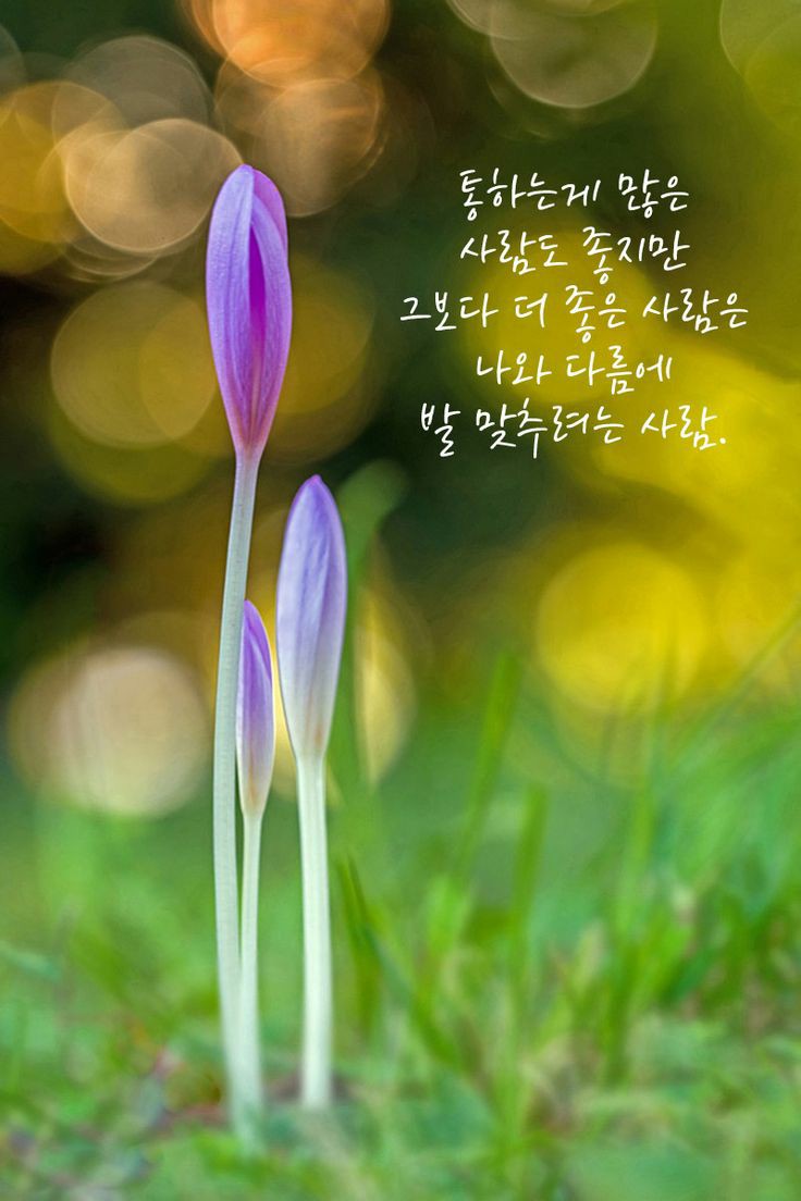 이종구낙지세상 이미지