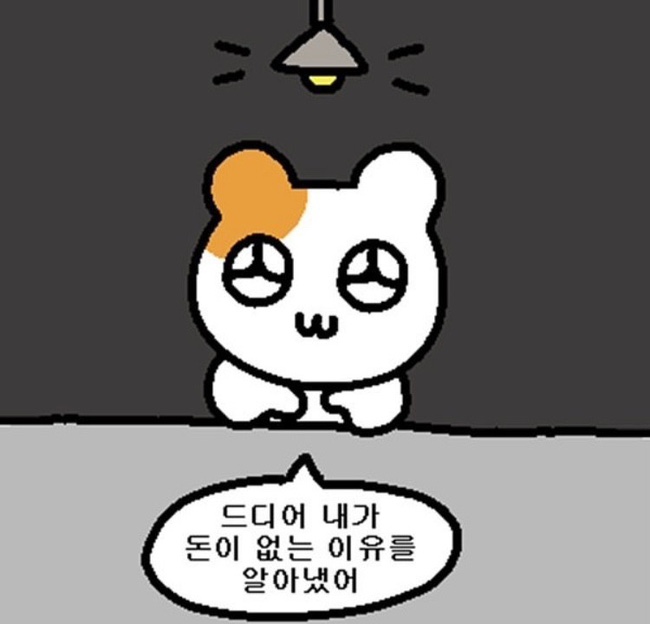 더발라레필발레학원 이미지