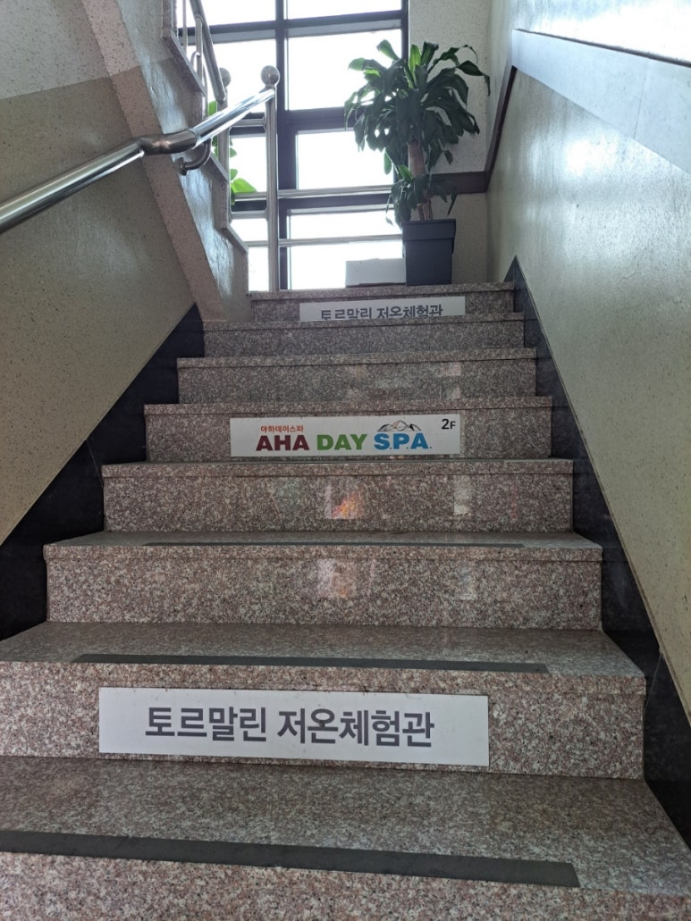아하데이스파토르말린저온체험관 이미지