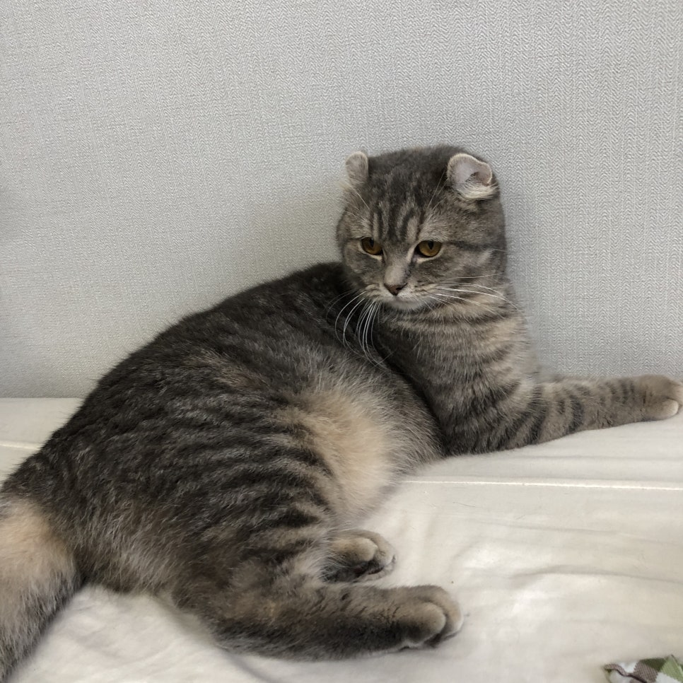 하비프레리 이미지