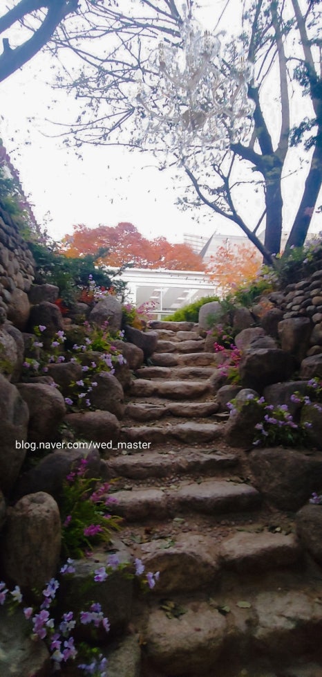VE스튜디오 이미지