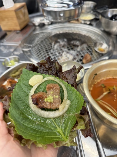 돼지소개소 이미지
