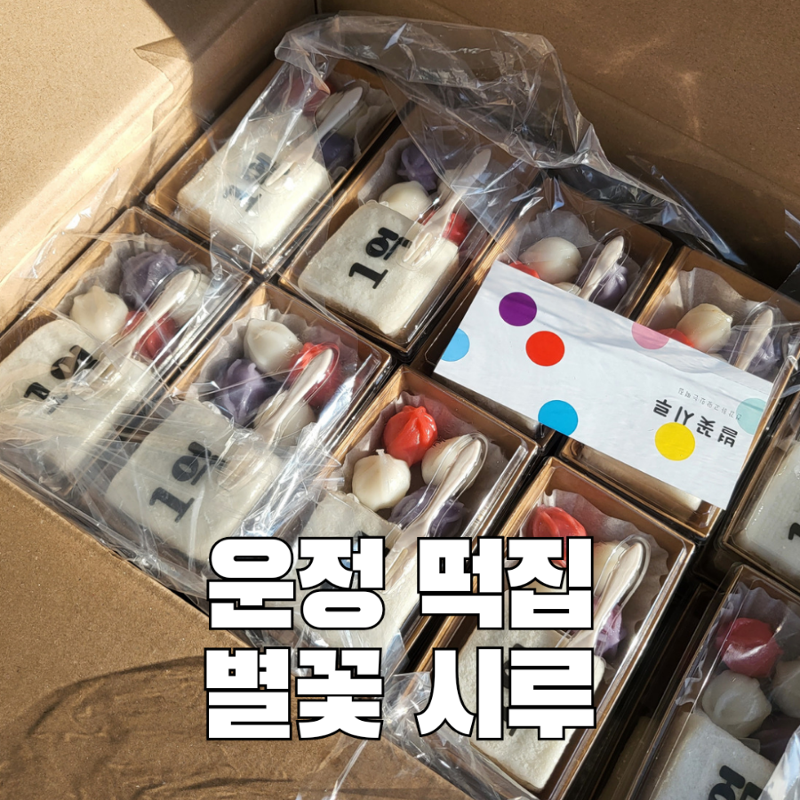 별꽃시루 이미지