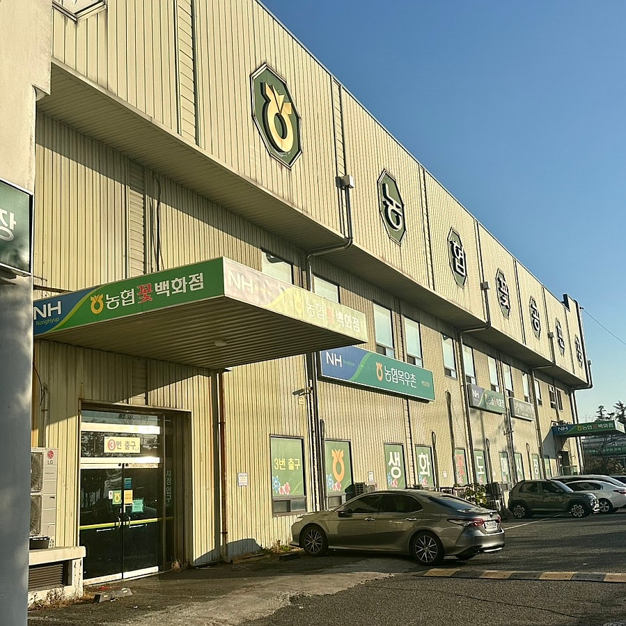 시장꽃도소매 이미지