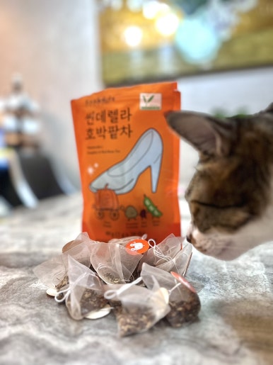 푸딜라이트 이미지