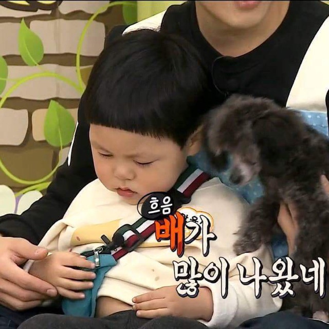 참마음정육점 이미지