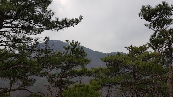 법무사이승훈 이미지