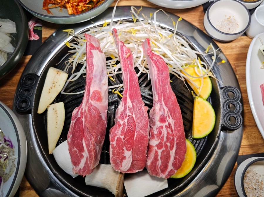 파누스 이미지