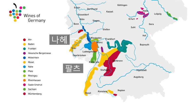 원탑클린 이미지