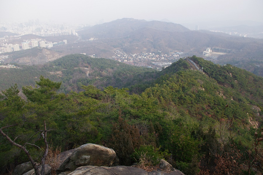 코웨이상록 이미지